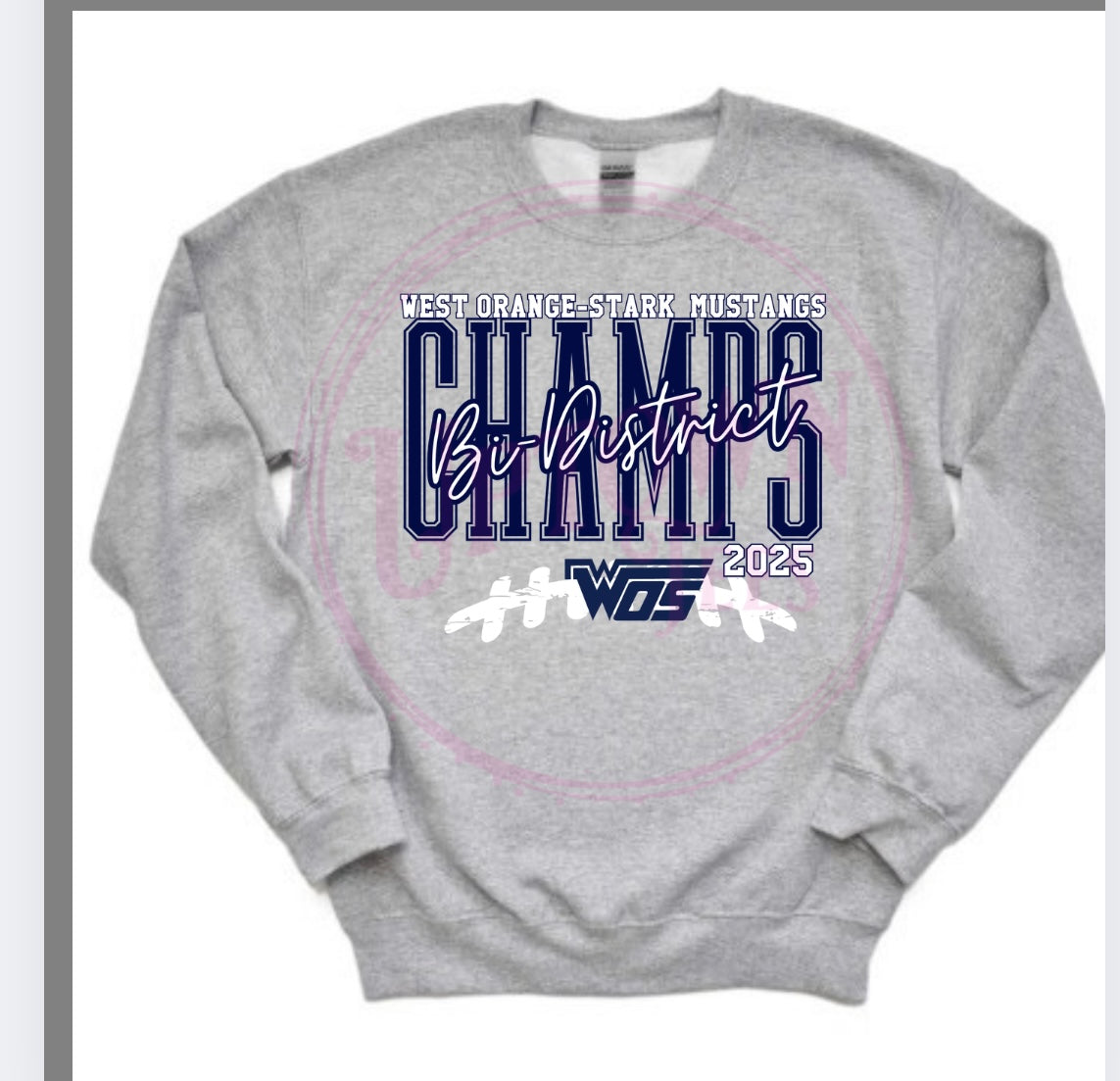 WOS bi-district champs