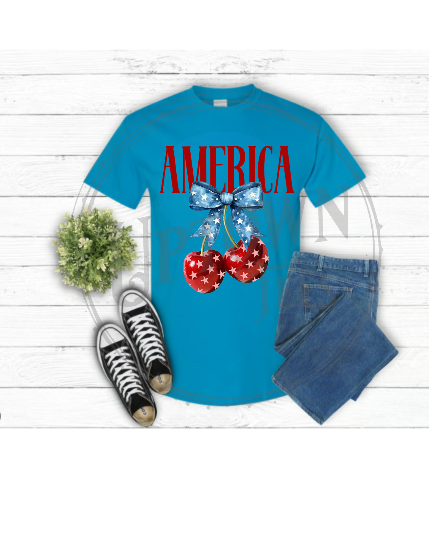 AMERICA